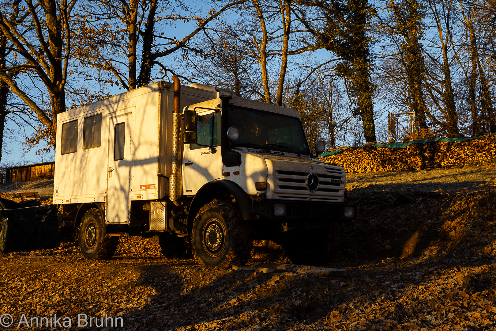 Karl in der winter Sonne